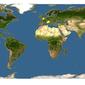 Discover Life: Point Map of Ectoedemia heringella