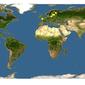 Discover Life: Point Map of Stigmella filipendulae