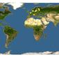 Discover Life: Point Map of Stigmella ruficapitella